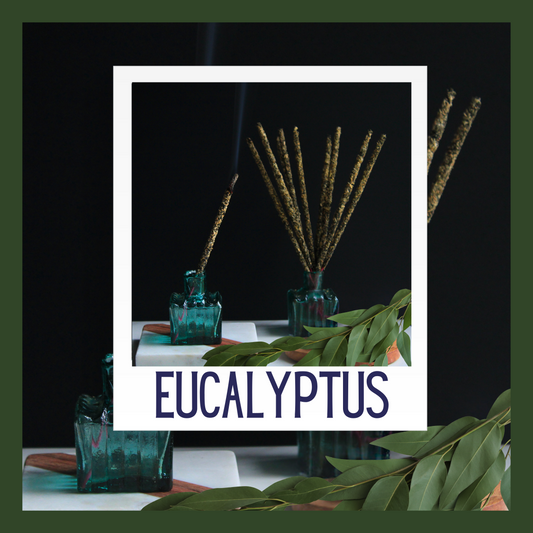 Artisan Hand-Rolled Incense Sticks - Eucalyptus